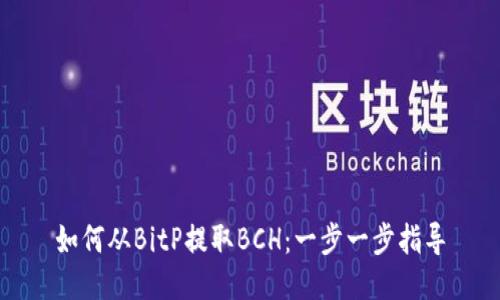 如何从BitP提取BCH：一步一步指导