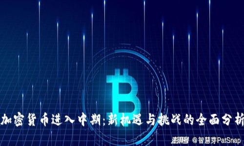 加密货币进入中期：新机遇与挑战的全面分析