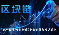 比特派官网安全吗？全面解析与用户须知