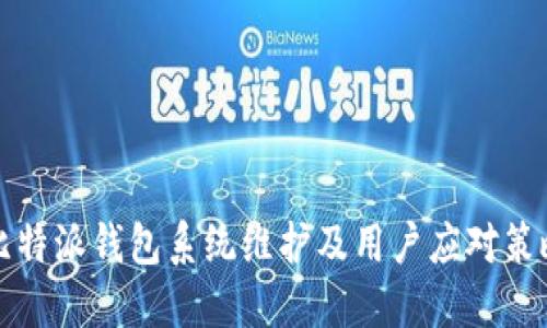 比特派钱包系统维护及用户应对策略