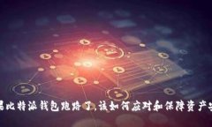 如果比特派钱包跑路了，该如何应对和保障资产