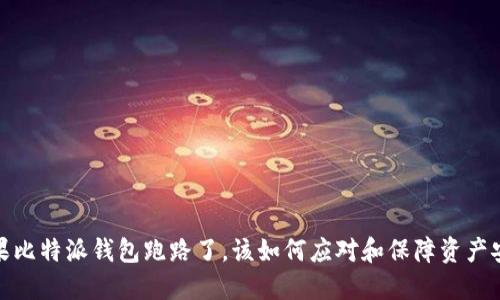 如果比特派钱包跑路了，该如何应对和保障资产安全