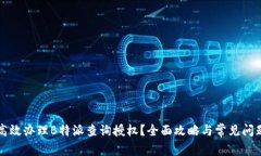 如何高效办理B特派查询授权？全面攻略与常见问