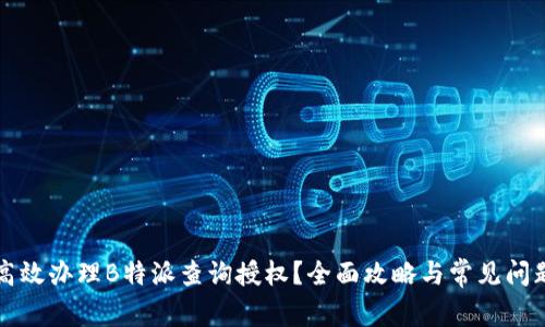 如何高效办理B特派查询授权？全面攻略与常见问题解析