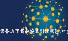 如何在iOS设备上下载和安装BitP钱包：一步一步指