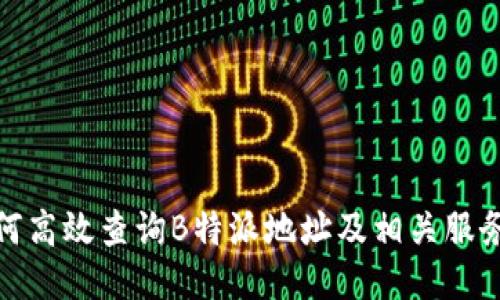 : 如何高效查询B特派地址及相关服务信息