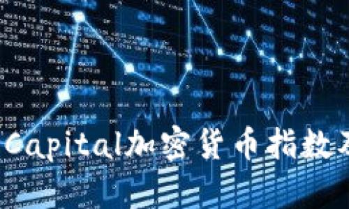 深度剖析：Capital加密货币指数及其影响力