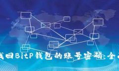 如何找回BitP钱包的账号密码：全面指导