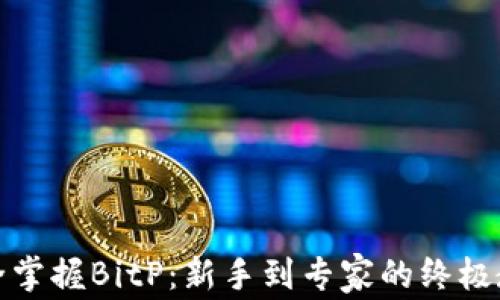 
完全掌握BitP：新手到专家的终极教程