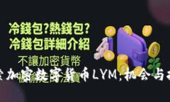 探索加密数字货币LYM：机会与挑战