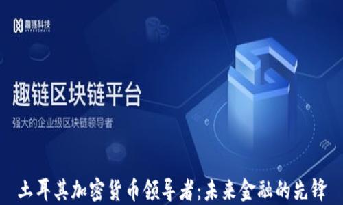 
土耳其加密货币领导者：未来金融的先锋