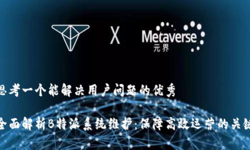 思考一个能解决用户问题的优秀

全面解析B特派系统维护：保障高效运营的关键