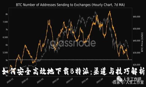 如何安全高效地下载B特派：渠道与技巧解析