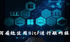 如何有效使用BitP进行联网操作？